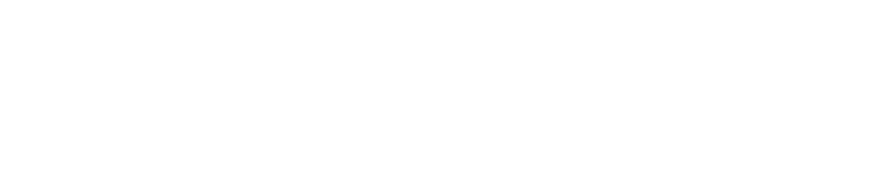 Company Airbus