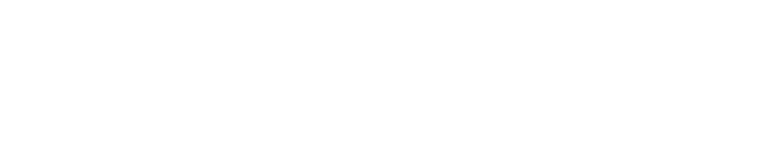 Company Air Liquide