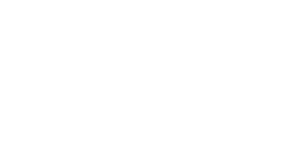 Company SLCE