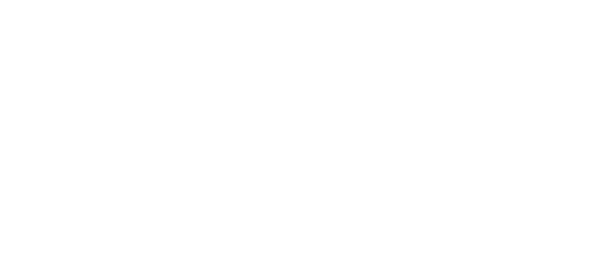 Company Spie