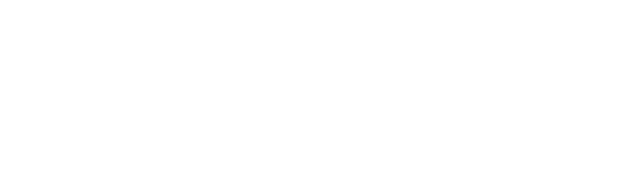 Company Vinci